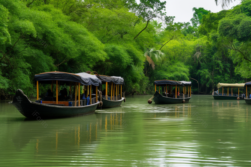 绿色湿地游船自然风景摄影壁纸,高清,摄影图,摄影图片,图片大全,摄影图免费下载